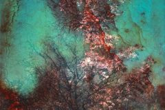 ab-f00-lowres