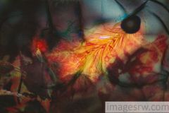 ab-f05-lowres