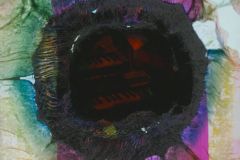 ab-f09-lowres