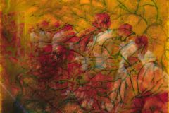 ab-f12-lowres