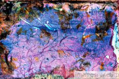 ab-f19-lowres