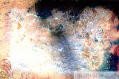 ab-f27-lowres