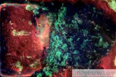 ab-f28-lowres