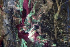 ab-f29-lowres