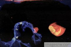 ab-f33-lowres