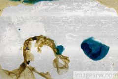 ab-f39-lowres