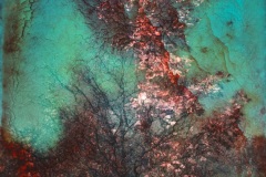 BurningOurLifeline-RossWilliams