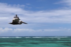 IMG_3048_PerfectlyClear