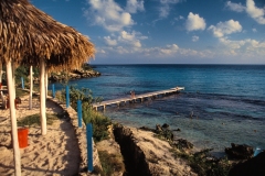 caribbeana