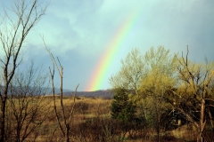 rainbow1