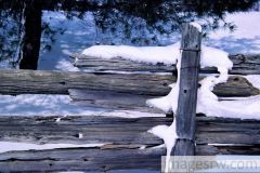 fence-a-lowres